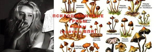 таблы Белокуриха